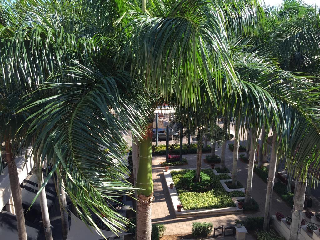 Lyx Suites At Merrick Park In Coral Gables Rom bilde